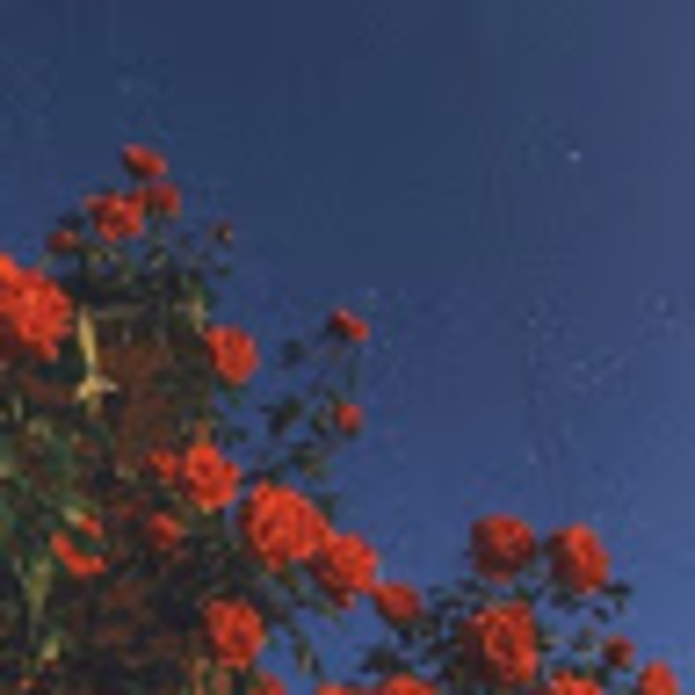 Meet your Posher, London